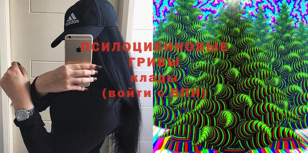 apvp Козловка