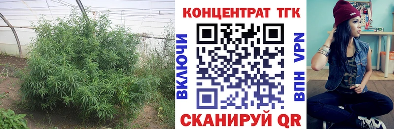 Дистиллят ТГК концентрат  Электросталь 