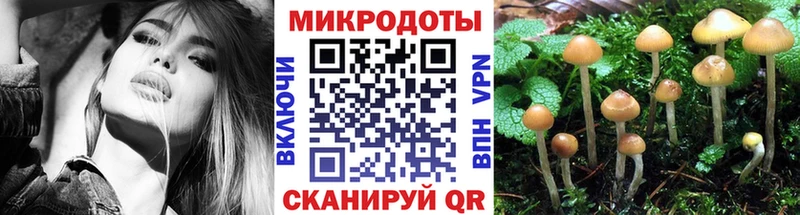 Галлюциногенные грибы Psilocybe  Электросталь 